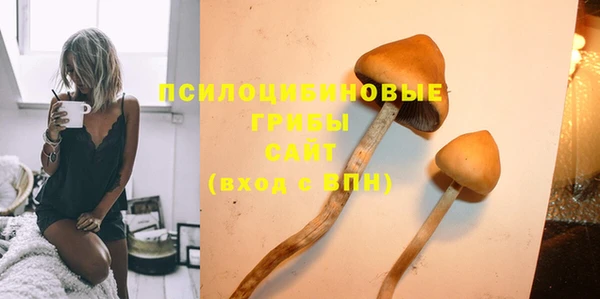 стафф Нефтегорск