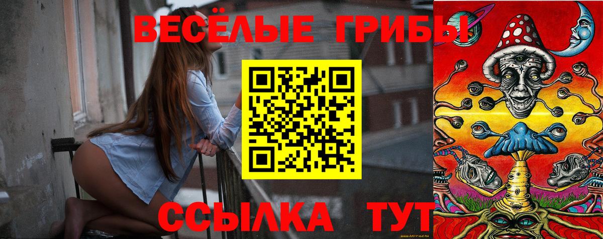 Псилоцибиновые грибы Psilocybe  Псилоцибиновые грибы Cubensis  купить наркотик  Назрань  Вход с VPN 